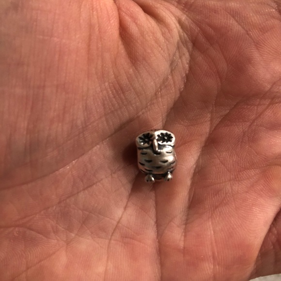 Pandora bracelet with 2 clips and 4 charms - Picture 5 of 6